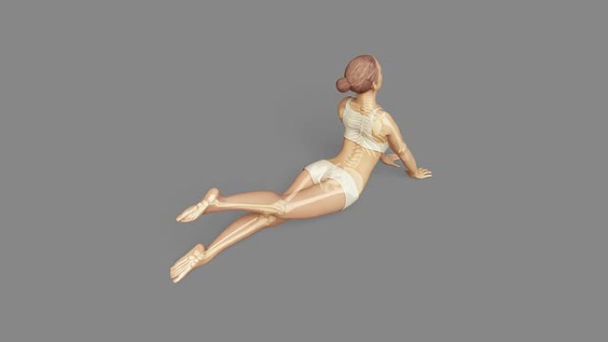 伸展女性在瑜伽眼镜蛇姿势可见骨架阿尔法