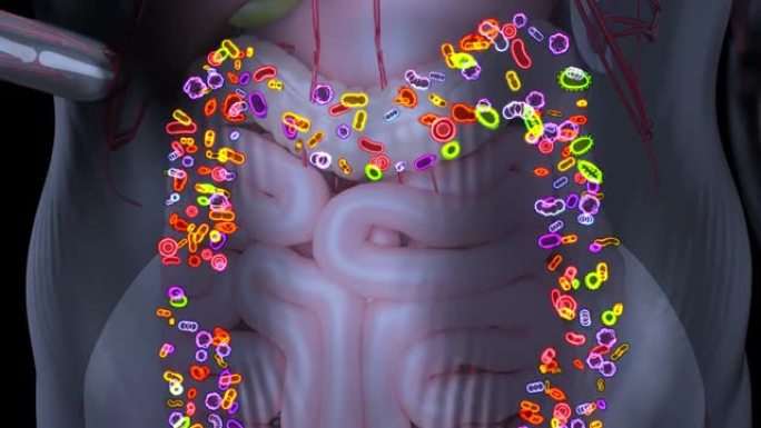 肠道微生物群的4K抽象动画
