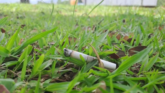 草地上用过的烟头。