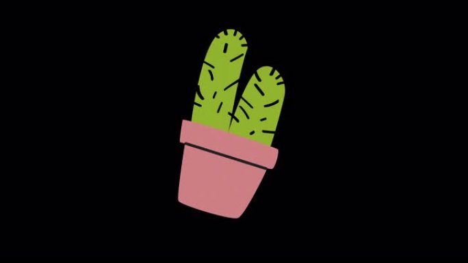 仙人掌植物与锅图标循环动画视频透明背景与阿尔法通道。