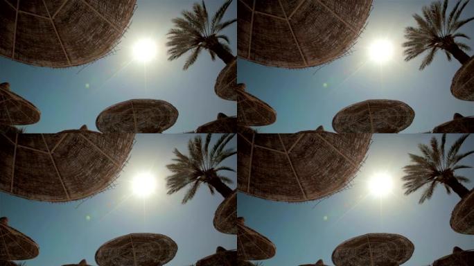 海上度假胜地旅游阳光透过遮阳伞棕榈树