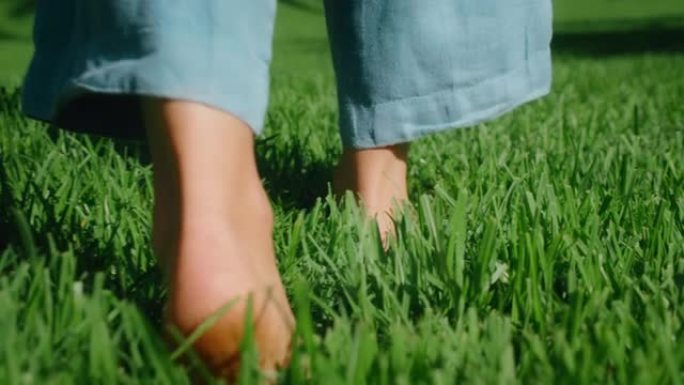 女性赤脚行走在绿草的草坪上。赤脚女人在金色日出时，在夏季的草甸草地上小心翼翼地踩着脚步。