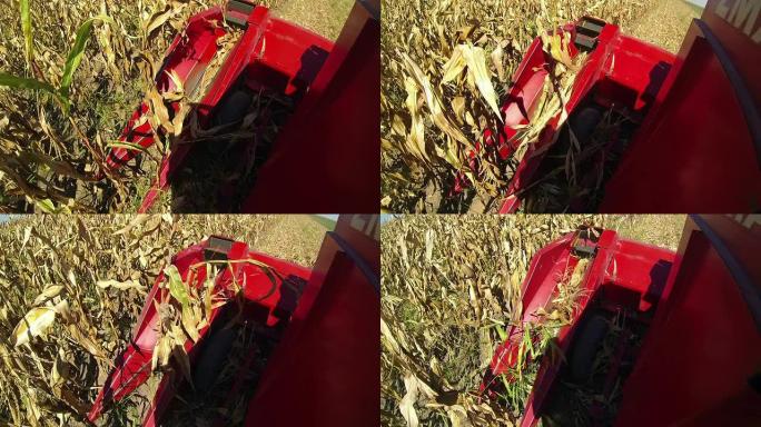 玉米收获机