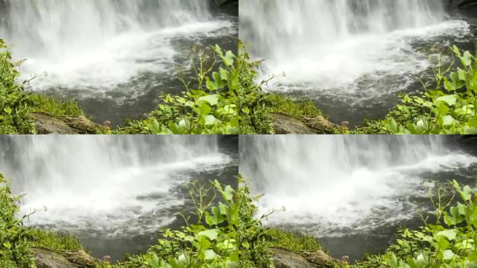 看着玻璃瀑布，数控水与绿叶撞击