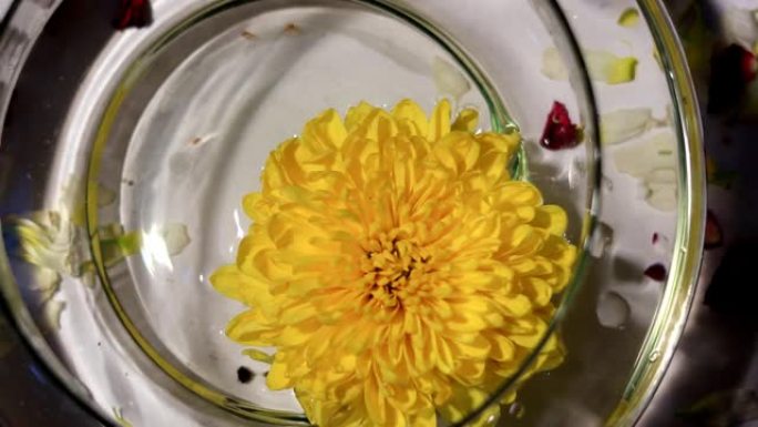 金盏花在盛满水的碗里，桌面旋转查看