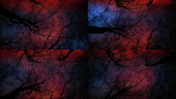 红色暴风雨天空的死树的噩梦景观