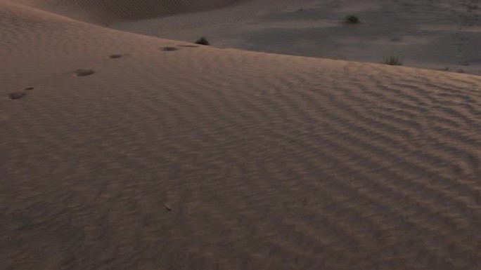 中东沙漠沙丘中的脚印