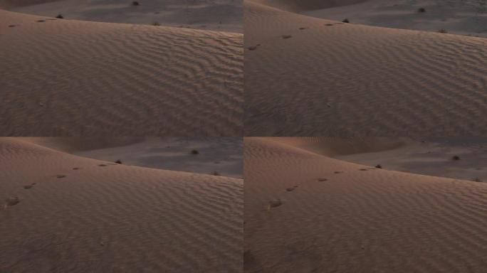 中东沙漠沙丘中的脚印