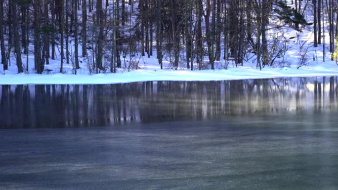 冬天的早晨，米沙卡池塘。冬天池塘的冻结表面。