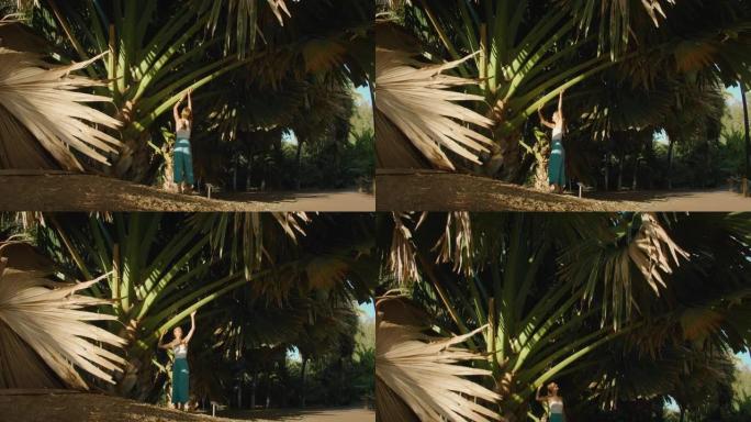 在热带岛屿上的巨大棕榈树下行走的女人。女孩身临其境地旅行，触摸树叶和树干，享受大自然。