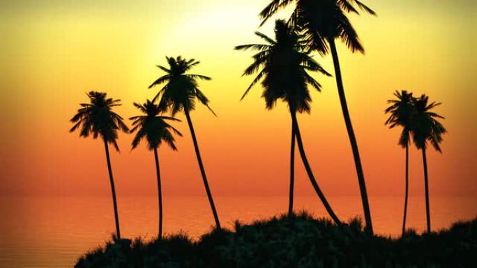 热带岛屿棕榈树和火热的海浪日落