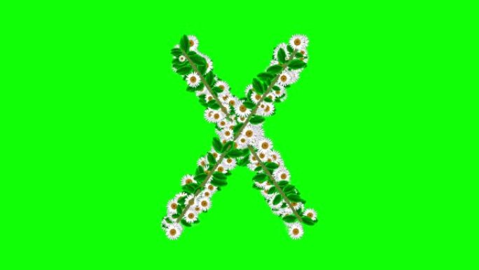 绿色屏幕背景上有雏菊花的英文字母X