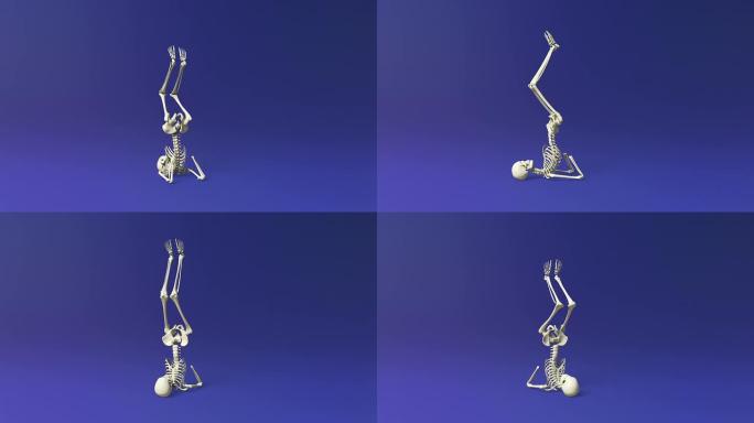 人体骨骼的推腿运动