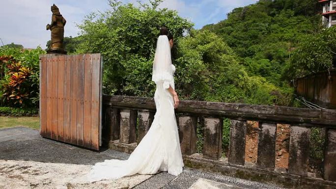桥上的新娘。热带地区。