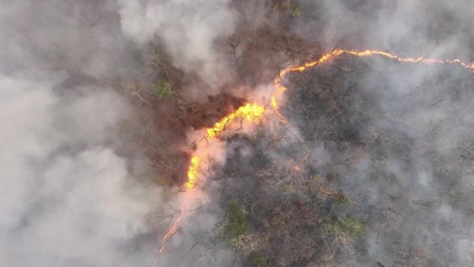 气候变化，野火会释放二氧化碳 (CO2) 排放和其他温室气体 (GHG)，这些气体会导致气候变化和全