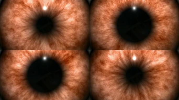 橙色眼睛背景-HD1080