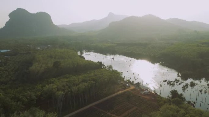 日落时河流周围丛林的鸟瞰图