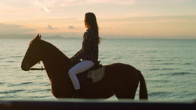 日落时分，一名女子在海边海滩骑马，停下来欣赏美景。女性马术享受她的幸福、乡村生活方式和自然。自由概念