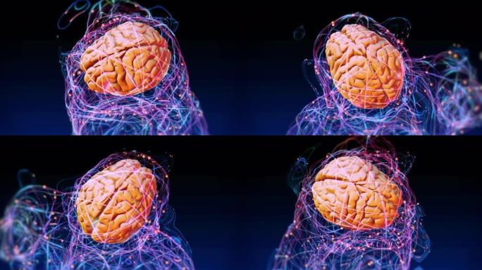 人脑神经系统大脑蓝色科技背景