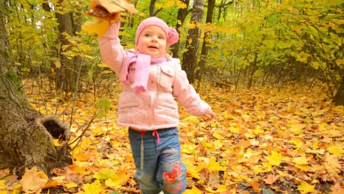 可爱的女孩在秋天的彩色森林里玩黄叶