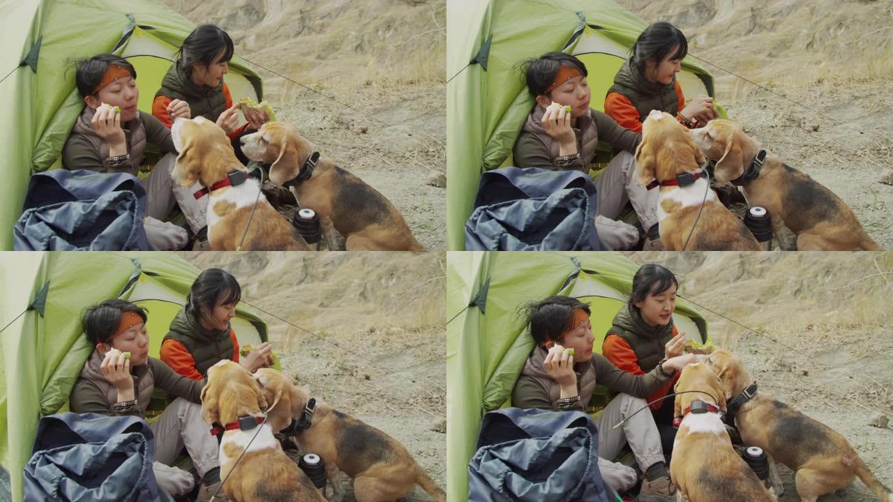 两名亚洲女性游客在帐篷入口吃午餐，喂小猎犬