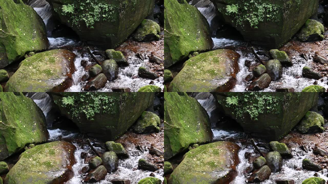 在台湾基隆市暖东谷的远足径上，溪流轻轻地流过充满苔藓和蕨类植物的美丽岩石。