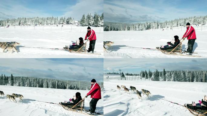 高清范围: 人们在大自然中被爱斯基摩人驾驶雪橇