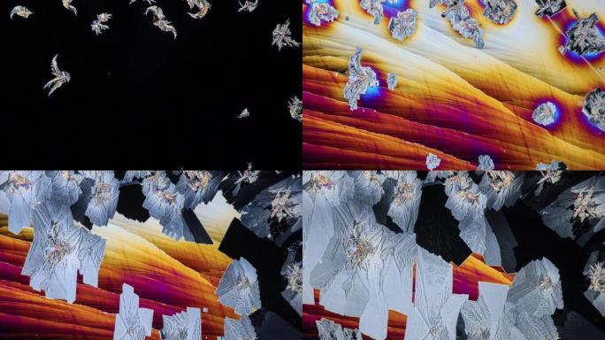 偏光显微镜中碳酸盐的结晶颜色在华丽后迅速湮灭