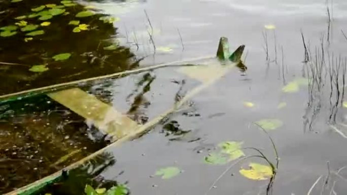 湖中暴风雨后淹死的木船