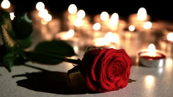 浪漫的气氛: 玫瑰蜡烛