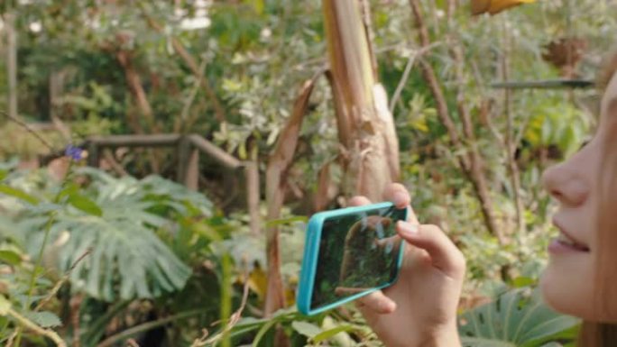 大自然女孩在野生动物保护区使用智能手机拍摄蝴蝶照片，学习自然栖息地享受动物园游览在社交媒体上分享环保