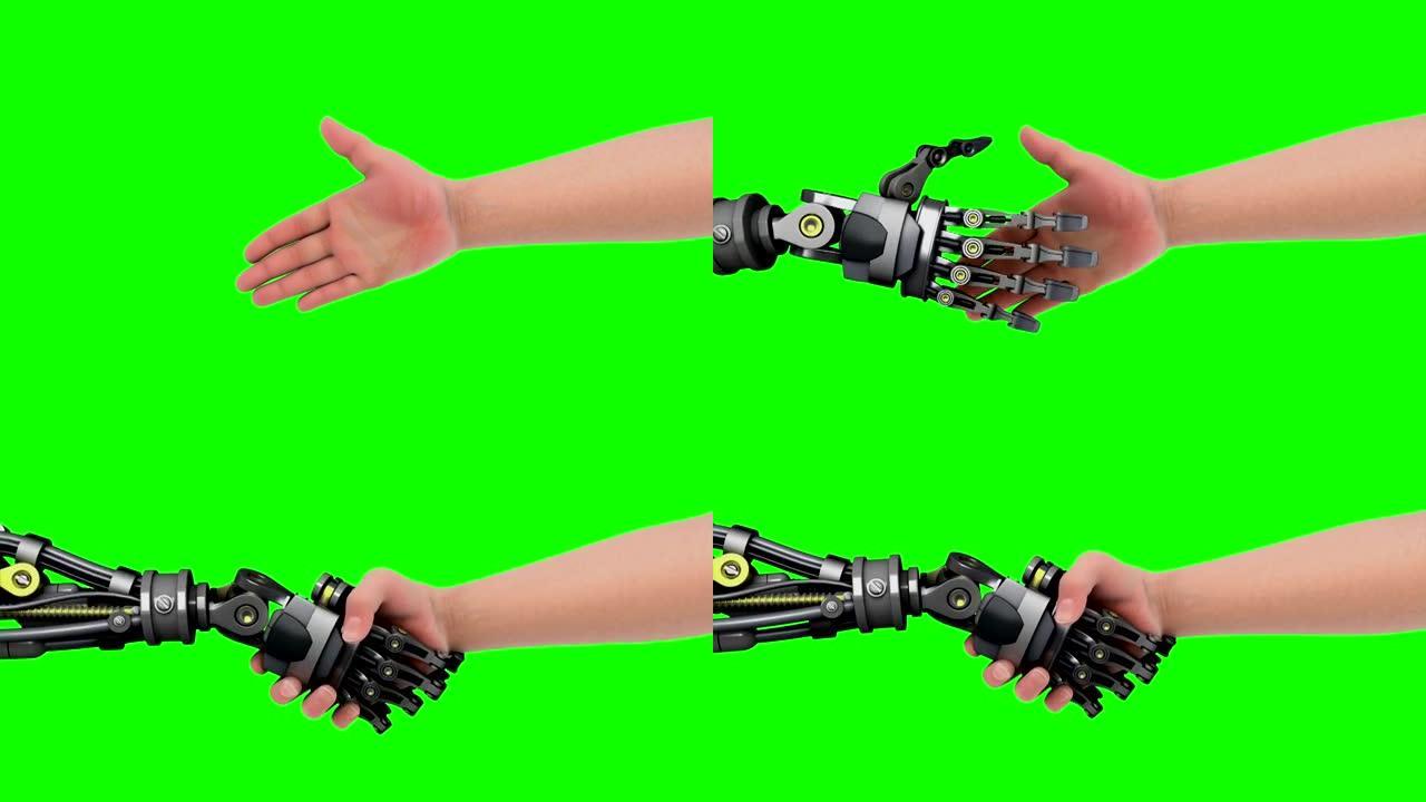 与机器人握手。