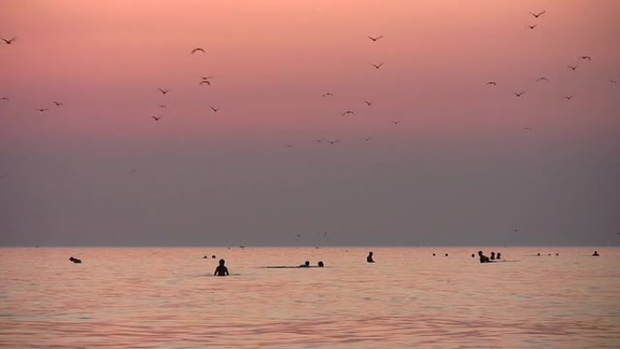 日落海上的人和鸟剪影