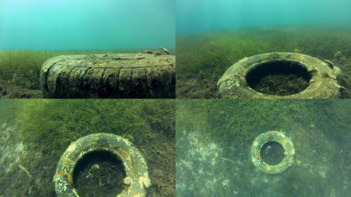 海底旧轮胎