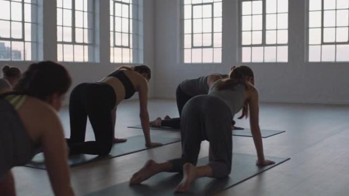瑜伽课教练教孕妇锻炼健康的生活方式练习猫牛姿势享受日出工作室的集体体能锻炼
