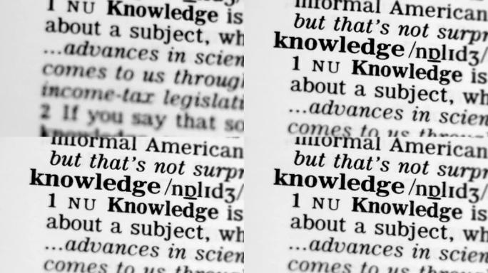 字典定义-知识