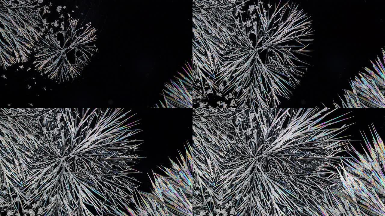 偏光显微镜下碳酸盐的结晶形成大量的尖峰