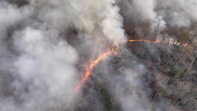 气候变化，野火会释放二氧化碳 (CO2) 排放和其他温室气体 (GHG)，这些气体会导致气候变化和全