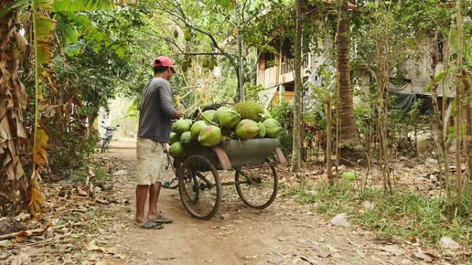 椰子供应商在椰子束上装载杰克水果的自行车拖车