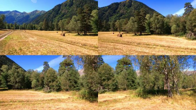 阿尔赫兹高地高山山脊草地上的道路，干草堆