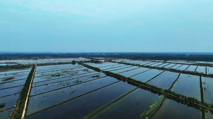 湖里的水产养殖基地