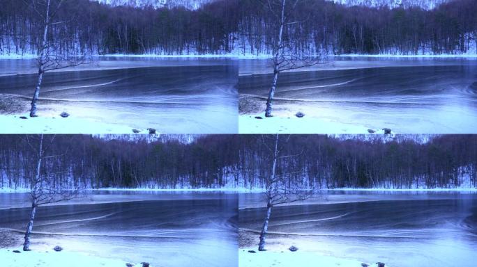 冬天的早晨，米沙卡池塘。冬天池塘的冻结表面。