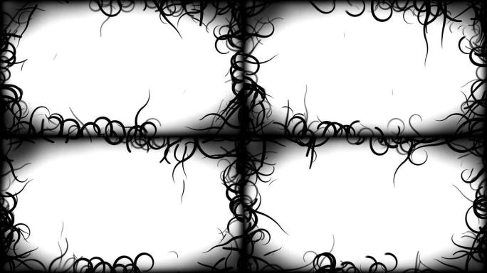 黑色藤蔓边框背景动画-循环白色