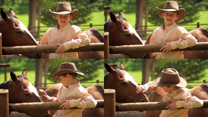 与马在篱笆上的小牛仔