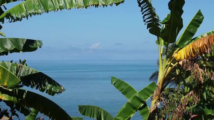 塞舌尔群岛上的热带海岸