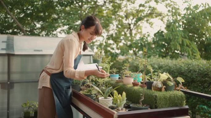 快乐的年轻女主人在温室里工作，温室里有美丽的盆花和室内植物。小企业概念。可持续的生活方式。