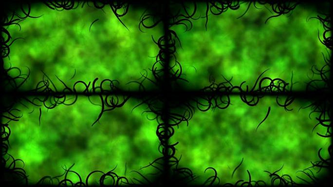 黑色藤蔓边框背景动画-循环绿色