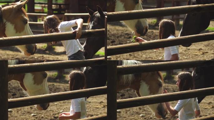 小女孩用马圈喂马