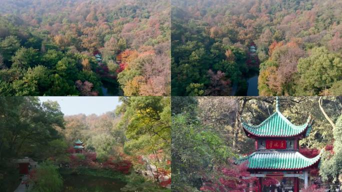 【4K】最新爱晚亭岳麓山航拍