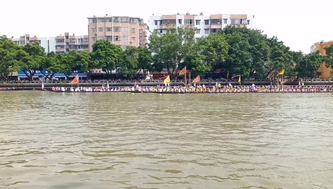 传统节日文化活动 端午赛龙舟
